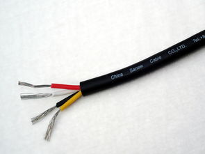 DJYP3VP3R 4×2×0.5 聚乙烯絕緣對絞鋁塑復(fù)合帶聚氯乙烯護(hù)套軟計算機電纜